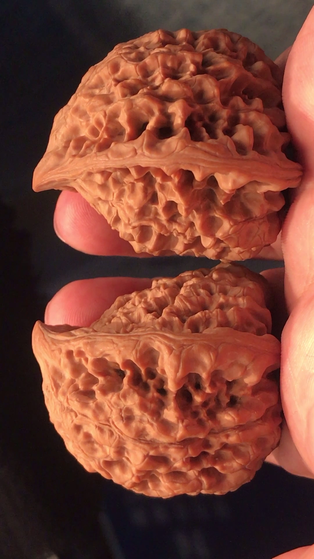 文玩核桃,原汁原味的异型蛇头