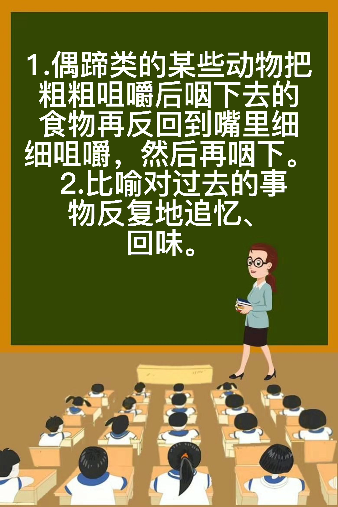 反刍是什么意思