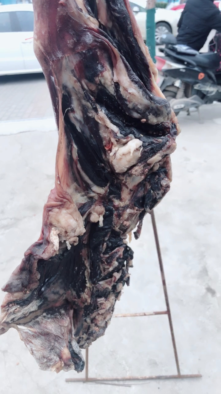 安徽特远特色咸狗肉