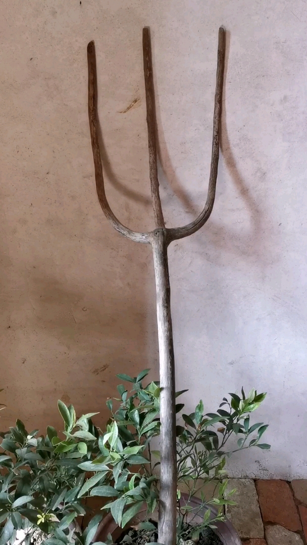 农村真正的老古董,大家家里还有吗?