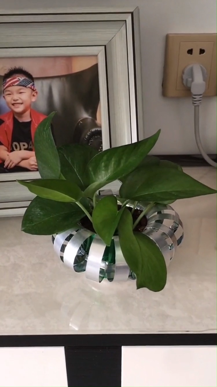 废弃的啤酒瓶不要丢了,做一个花盆陶冶情操多好-全民小视频