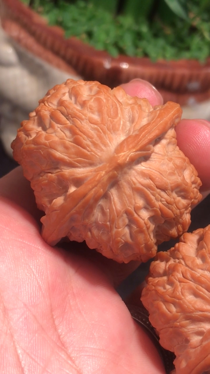 文玩核桃,血麒麟