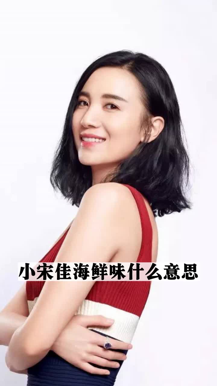 小宋佳海鲜味什么意思