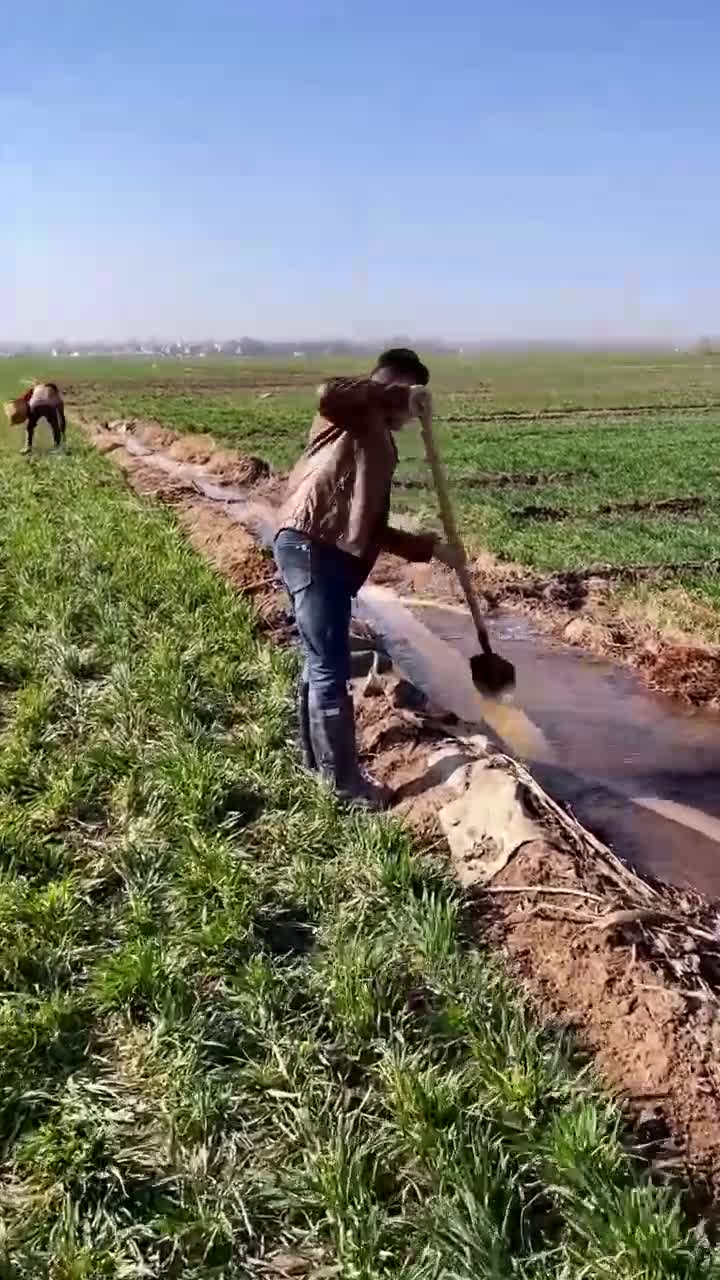浇地不能耽误吃大盘!二十二集