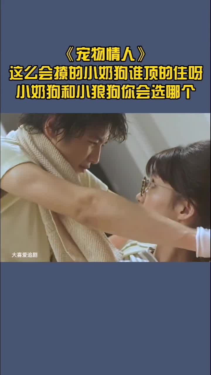 这么会撩的小奶狗谁顶的住呀小奶狗和小狼狗你会选哪个