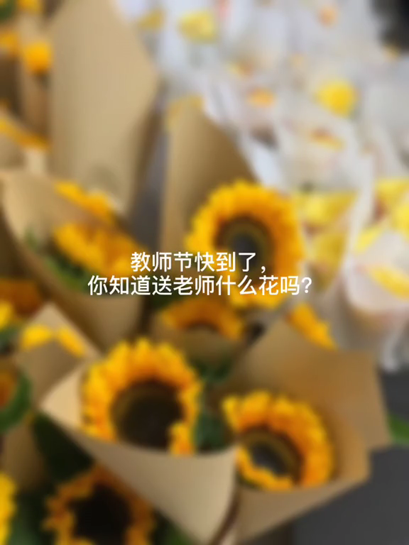 教师节送什么花给老师比较合适