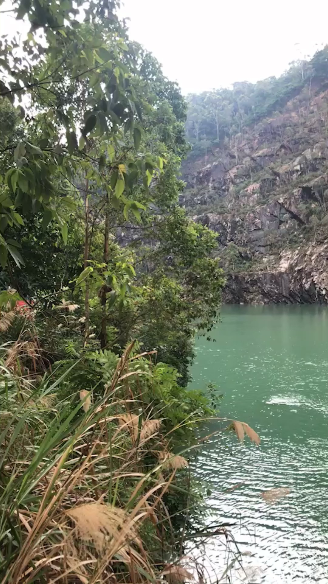 大山中的水库,水清凉清凉的,这里游泳需要勇气,我只能洗洗脚算了