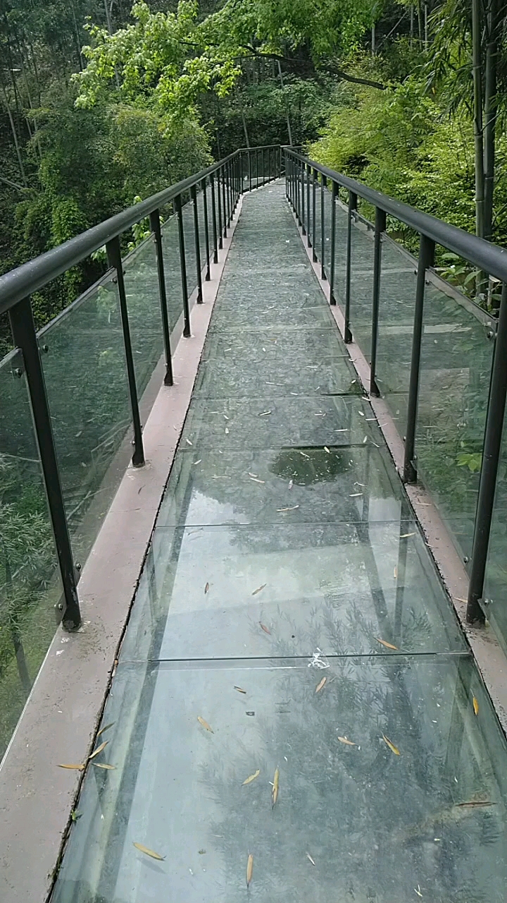 四明山小小玻璃桥