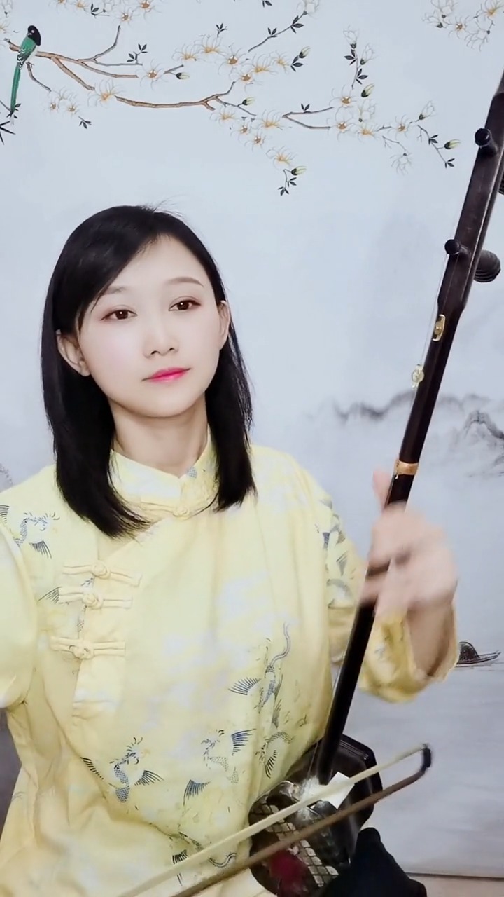 经典老歌美女二胡独奏天涯歌女精湛的琴艺令人回味无穷传承国乐弘扬