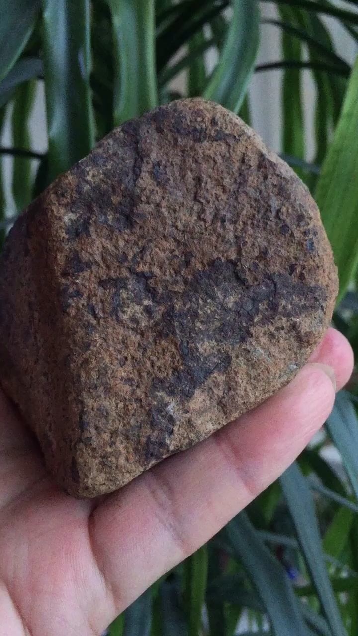 对准窗外#古铜钙长无球粒陨石:无球粒陨石,密度2.9,硬度6.