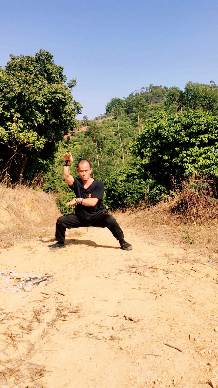 中华功夫#广西大师表演,南派功夫,(虎鹤双形拳)