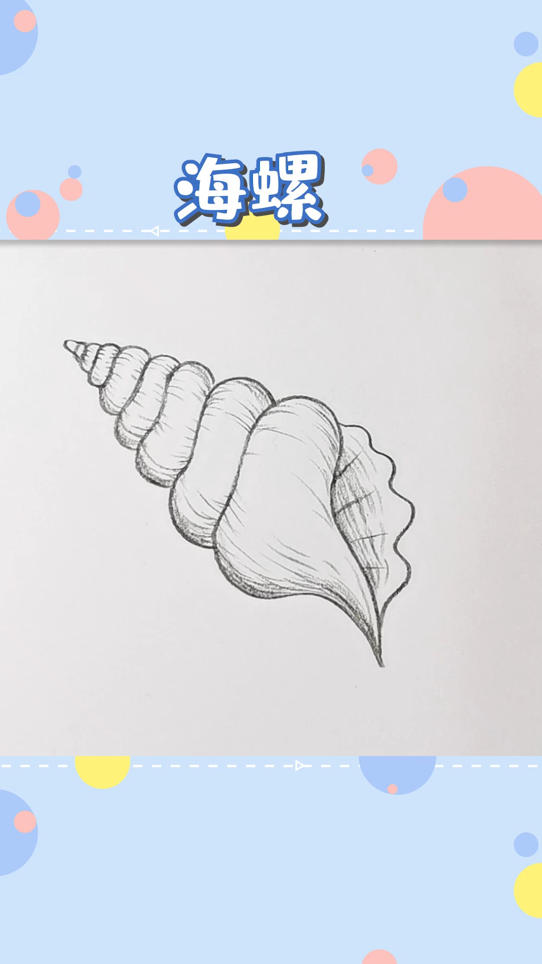简笔画海螺的画法图片