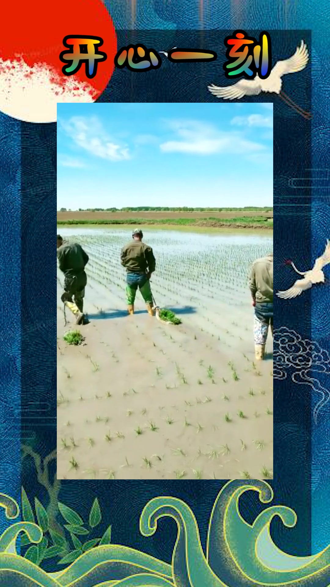 我要上热门#新招的年轻人,看到插秧的动作,1个月给多少工资