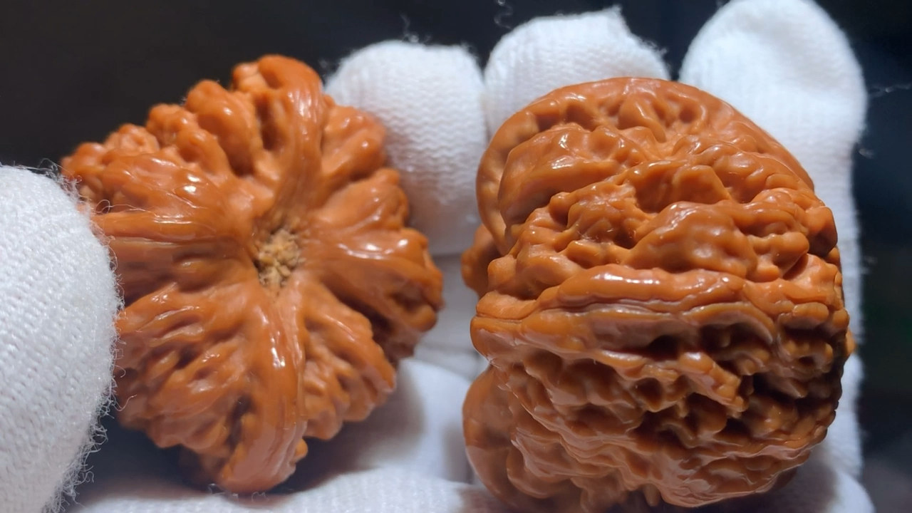 文玩核桃#至尊大凹底,矮桩粗筋大凹底,非常漂亮.