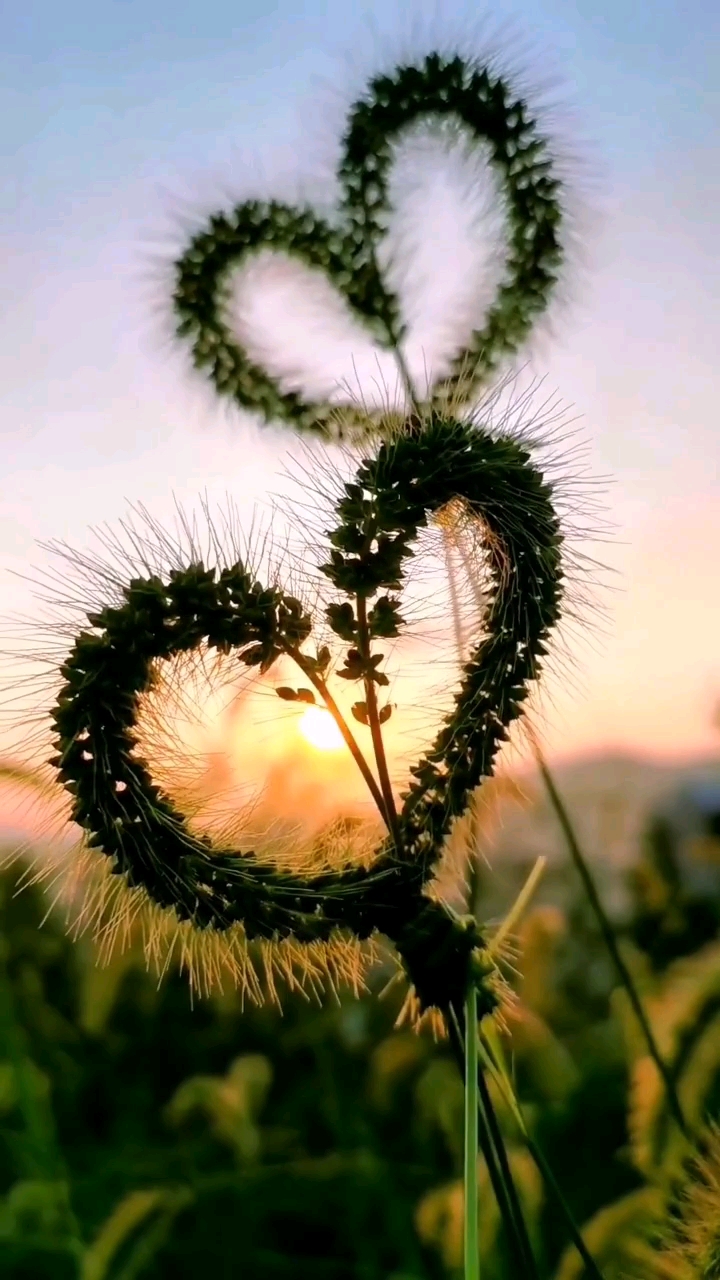 使命的力量#丘比特带着一束心灵的暖阳和像征爱情的金箭来到了潇傻哪