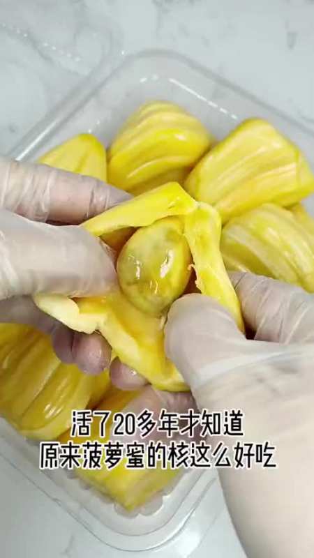 菠萝蜜的核怎么种图片