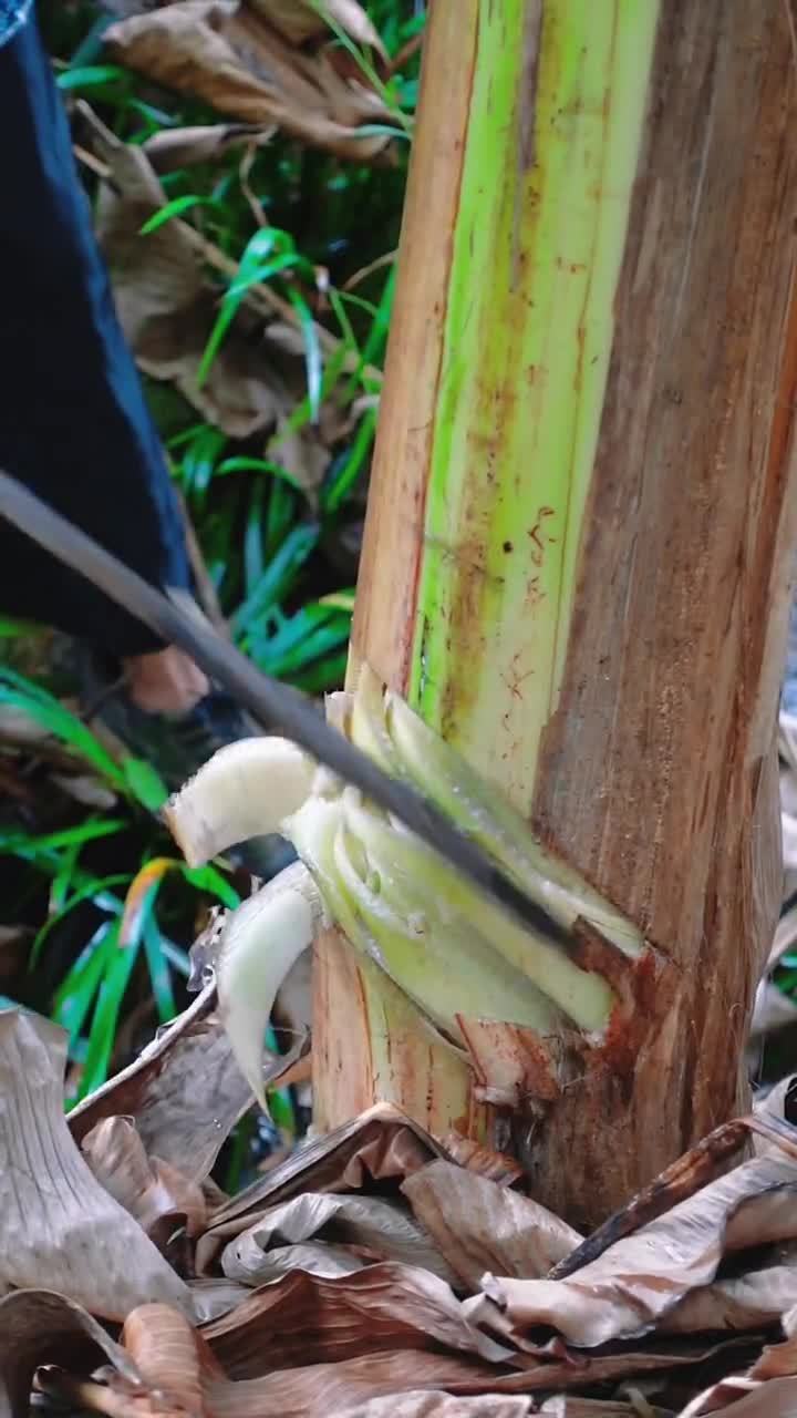 芭蕉心很甜,做菜也很好吃没吃过的值得尝试一下哦-度小视
