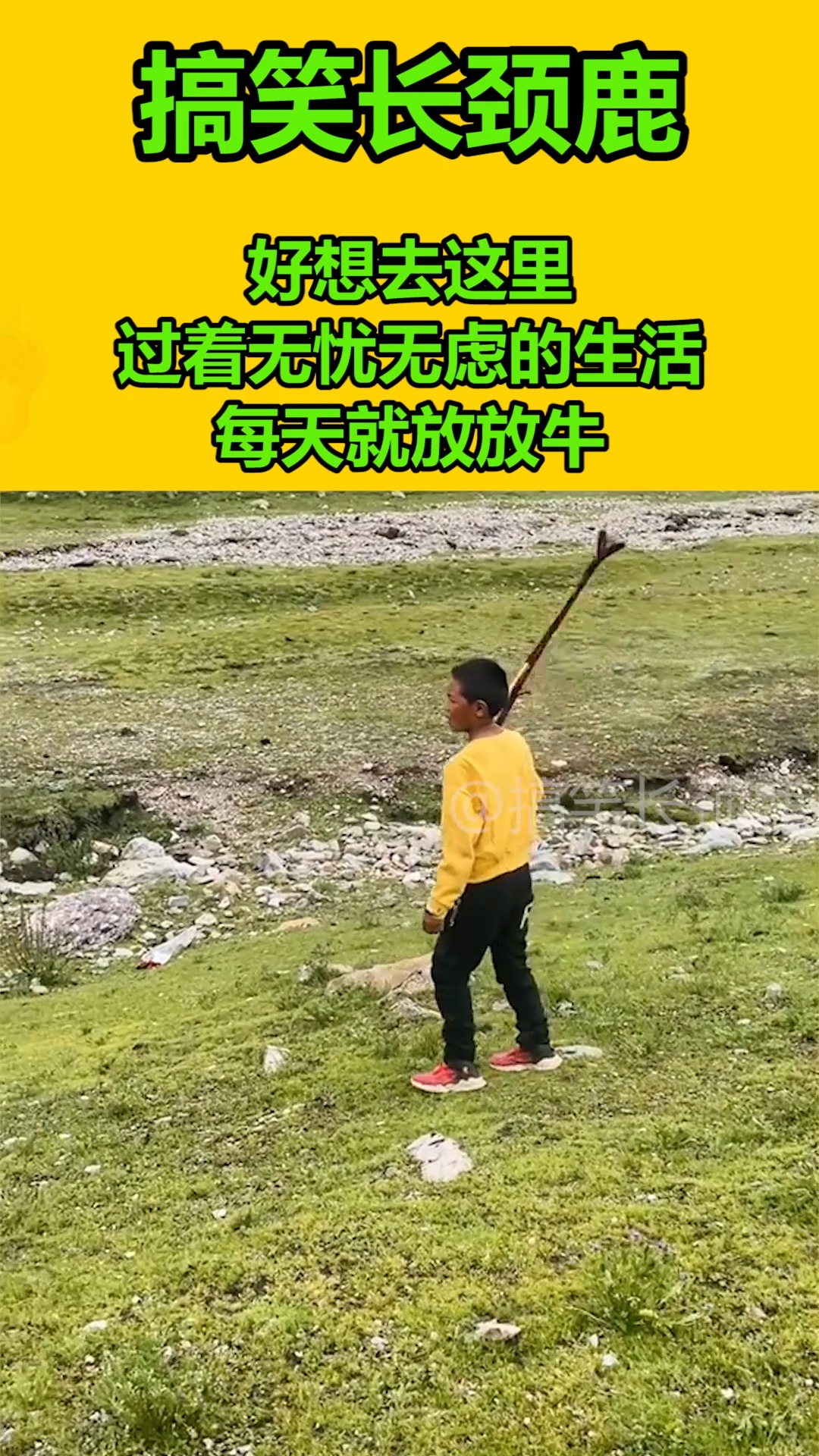 我要上热门