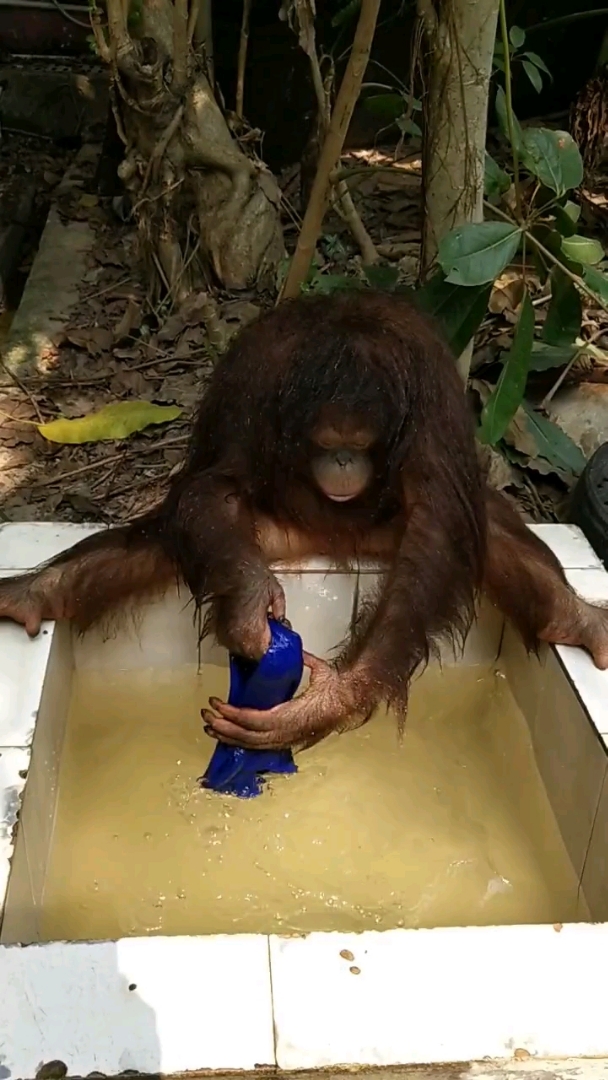 看看这水,多少天没洗澡了