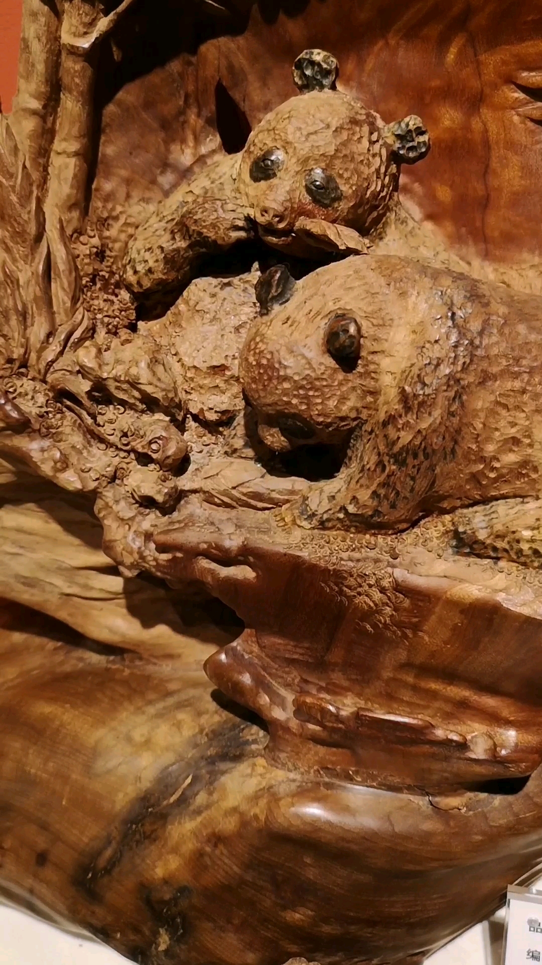 金丝楠枯木《熊猫戏竹》