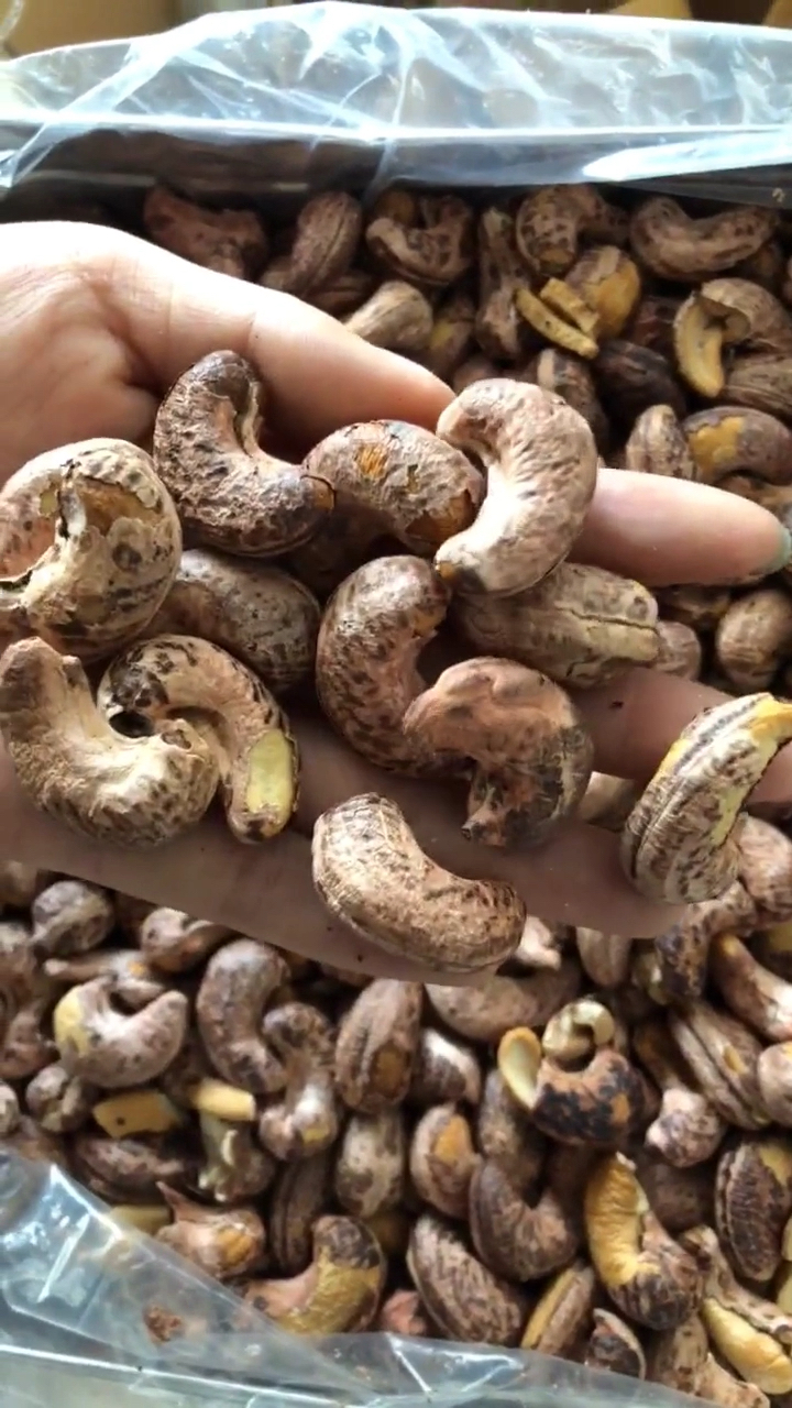 原来腰果是带壳的!你是不是也不知道