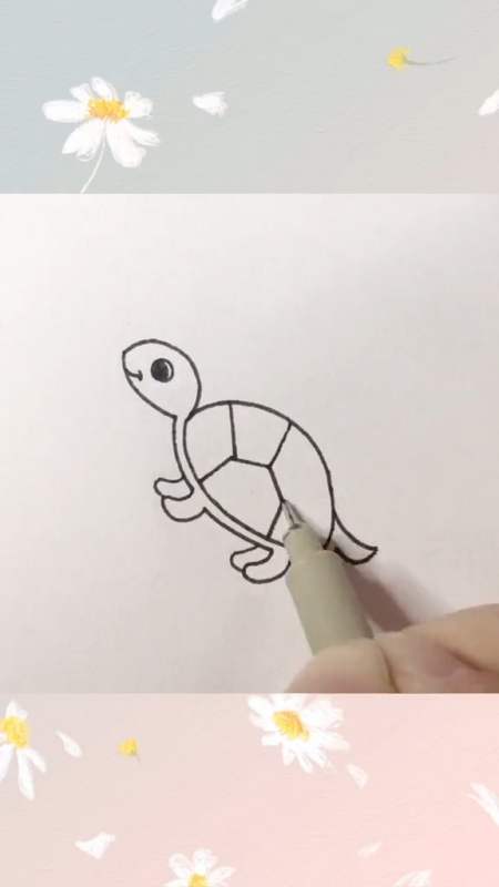 教你用数字3画一只小乌龟带回家学起来