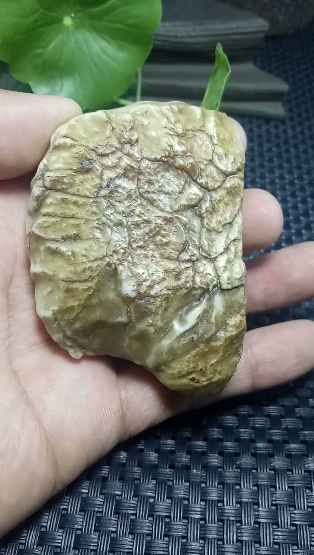 非常难得的一块,罗布泊地表蛋白原石,收藏级的宝贝!