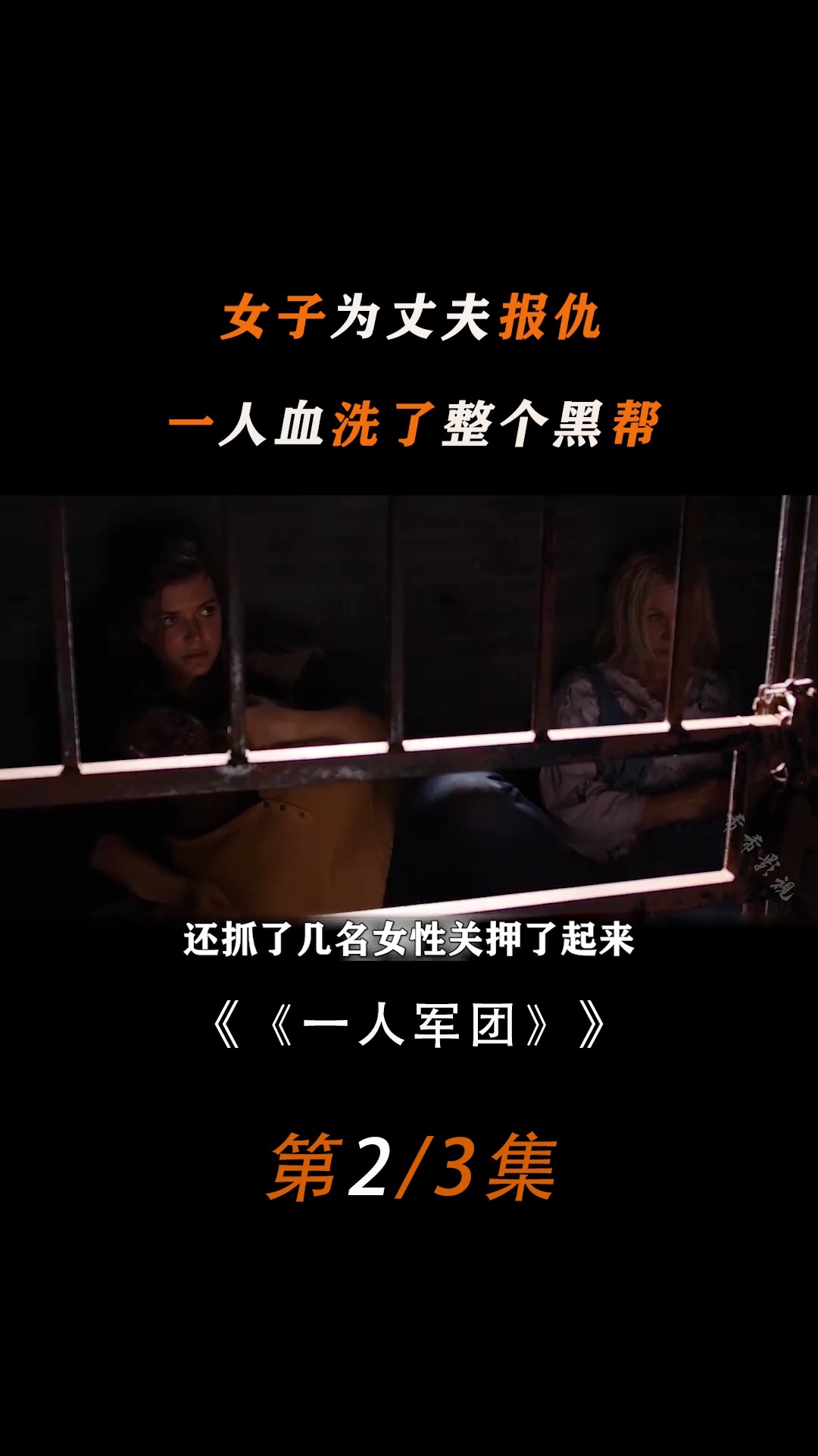 女人为夫报仇一人挑战整个h帮美国动作电影一人军团