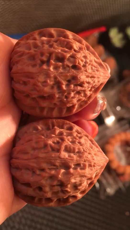 野生佛肚狮子头,六面精配,皮质超牛!配对超精!边36,肚32.5,高39!