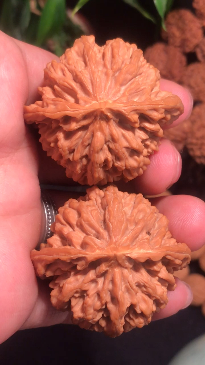 文玩#文玩核桃,京八对狮子头