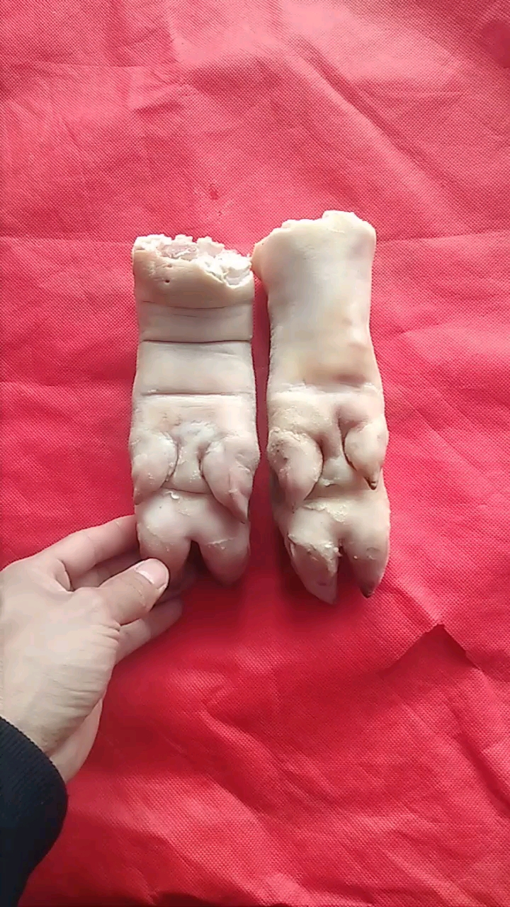 如何分辨前蹄后蹄!