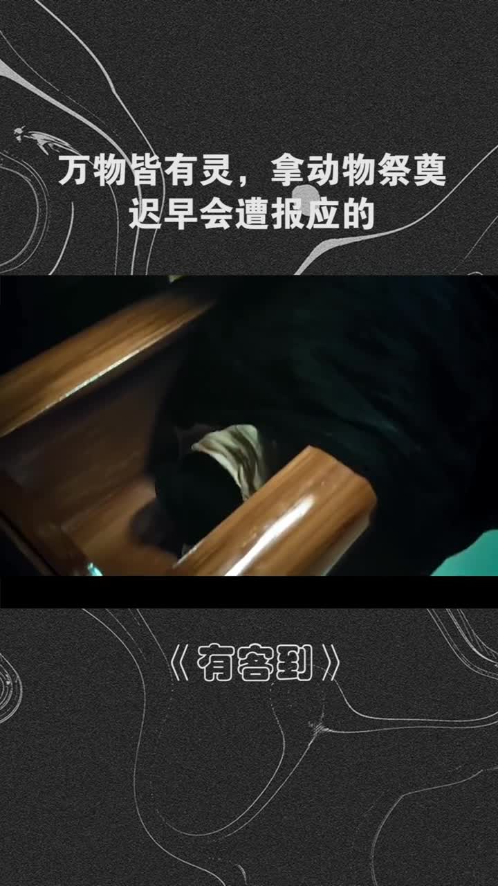 万物皆有灵拿动物祭奠迟早会遭报应的