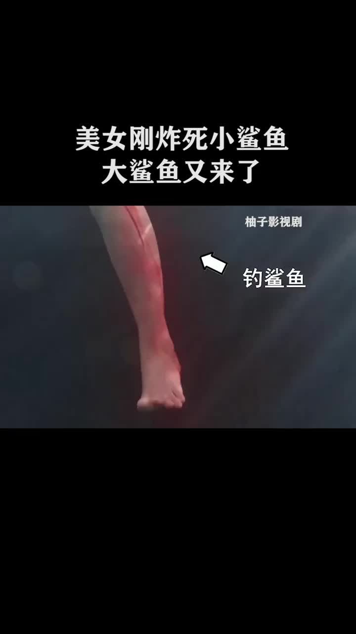 美女刚炸死小鲨鱼大鲨鱼又来了