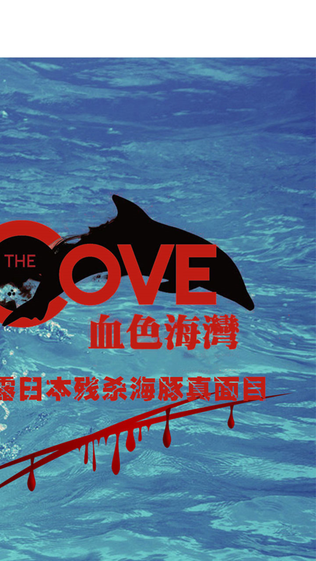 海豚湾#日本一边叫嚣着保护环境, 一边疯狂的捕杀海豚!