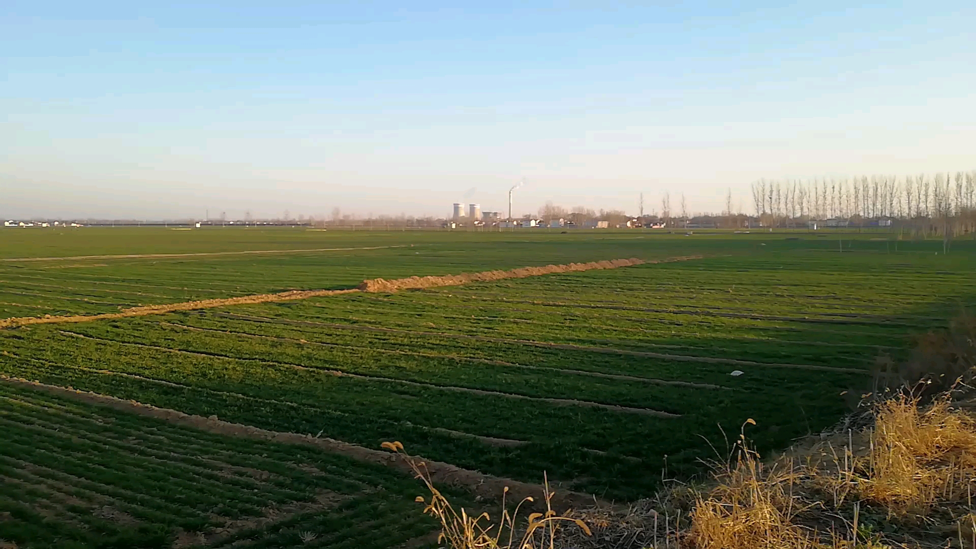 农村户外#看我们河南的大平原,中不中