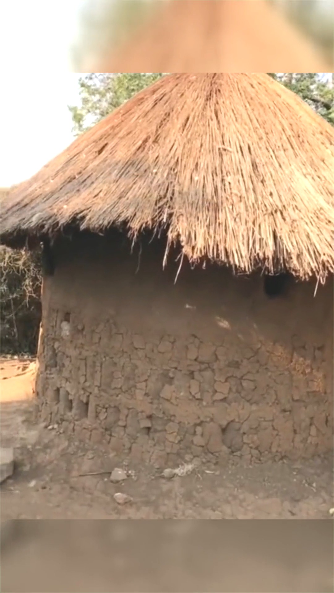 明星娱乐#非洲的房子竟是用牛粪做的,真不可思议,网友:不臭吗