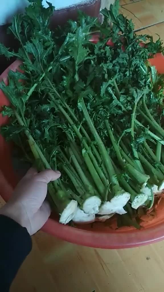 腌辣菜樱子祖传秘方