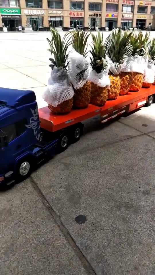 玩具车:大货车拉了一车菠萝 运费还挺高?