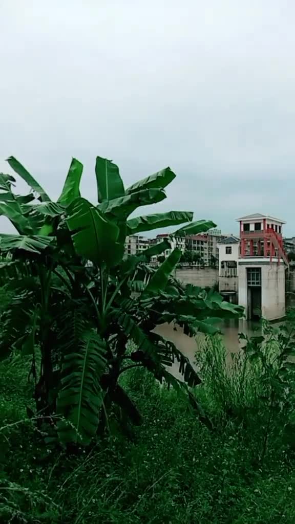 广西广西,广西南宁大沙田