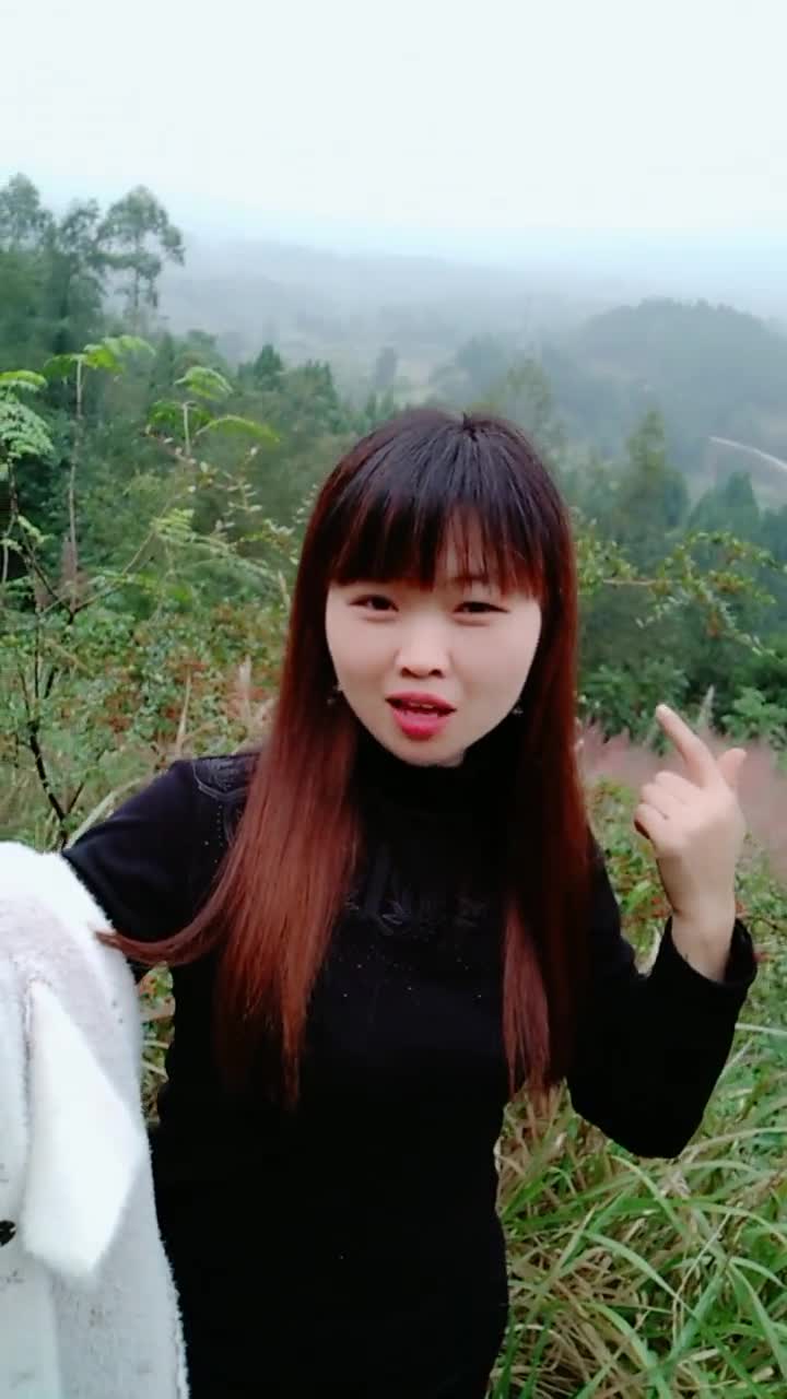 四川幺妹找不到路回家了