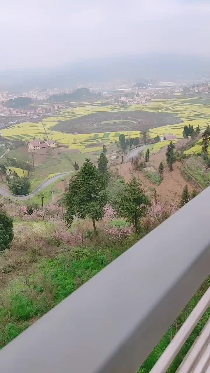 我们贵州的八卦阵.漂亮吧