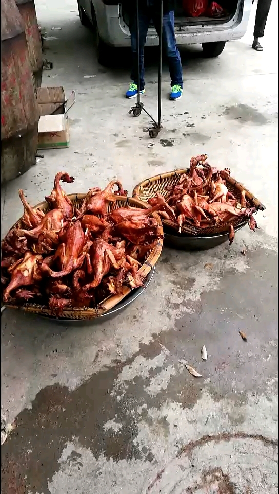 吃烤鸟了