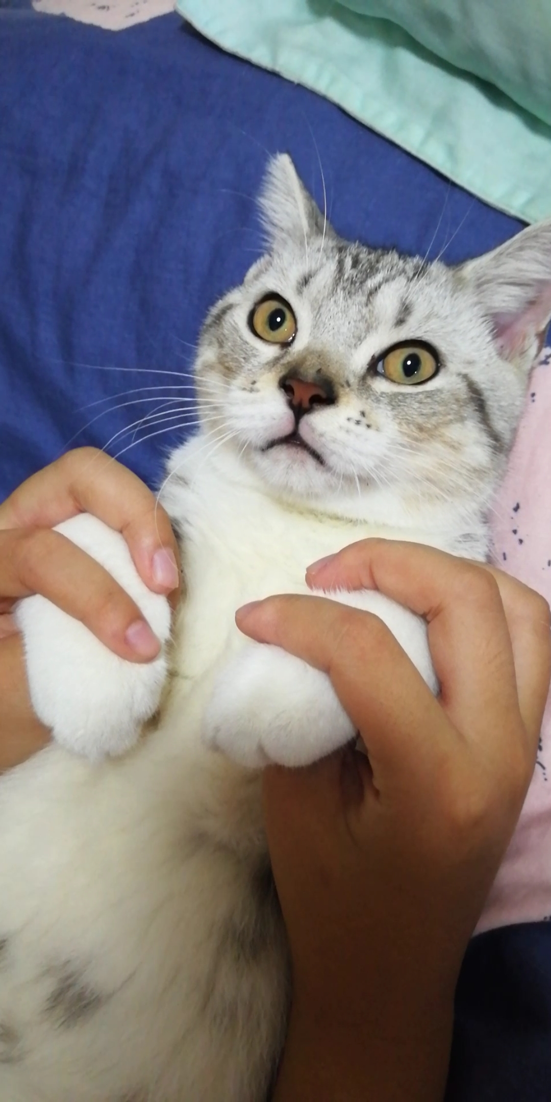 知道什么叫杏眼圆睁了吗?