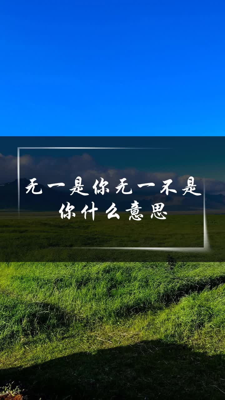 無一是你無一不是你什麼意思