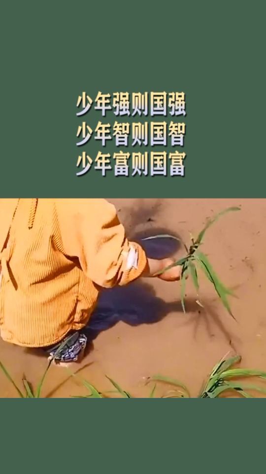 全民正能量!#少年智则国智,少年富则国富