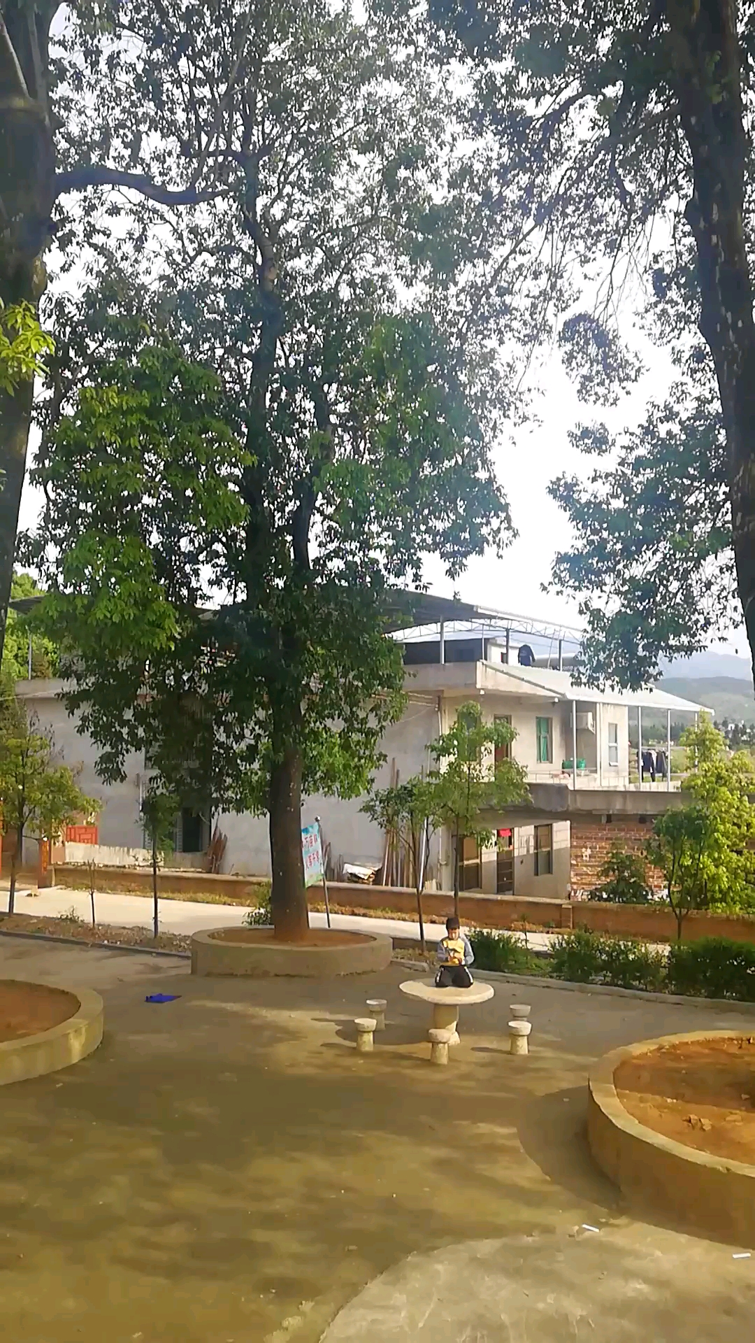 美丽的天塘镇仁洞村