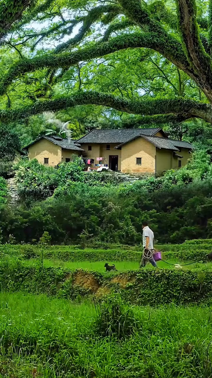 山野牧牛心自静,世间喧嚣不闻听,远离凡间红尘事,遁隐田园享自闲,我的