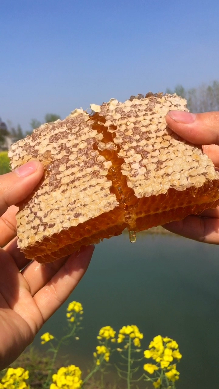 掰一块完整的蜂蜜