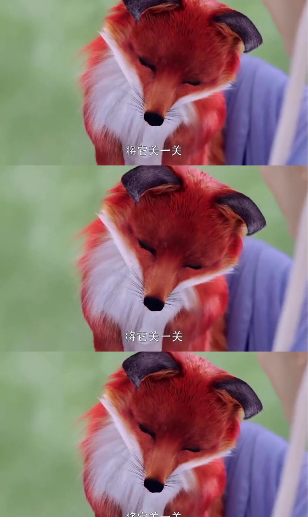 东华帝君白凤九#咋就成了只顽劣的狐狸了呢