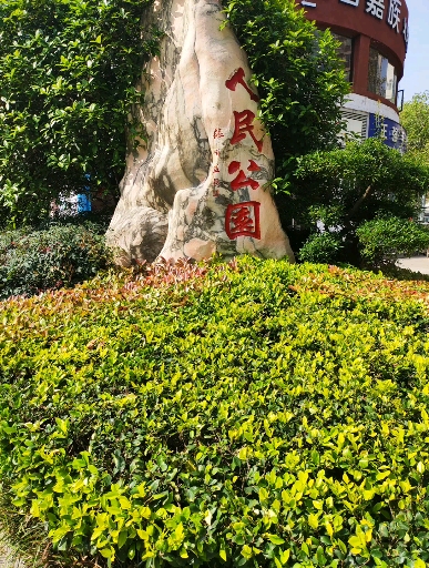 最爱之城#中国历史名城襄阳人民公园美景独好